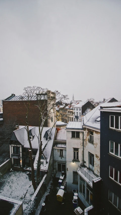 snowy rooftops with a lone tree next to some buildings