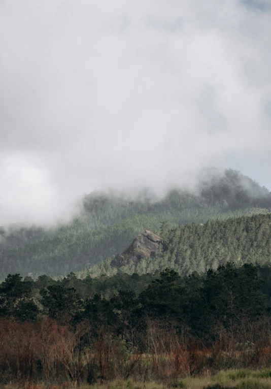 clouds hover over the forest and a hill