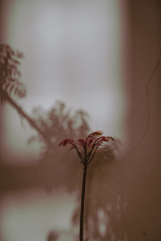 small red flowers and stems sit in a small vase