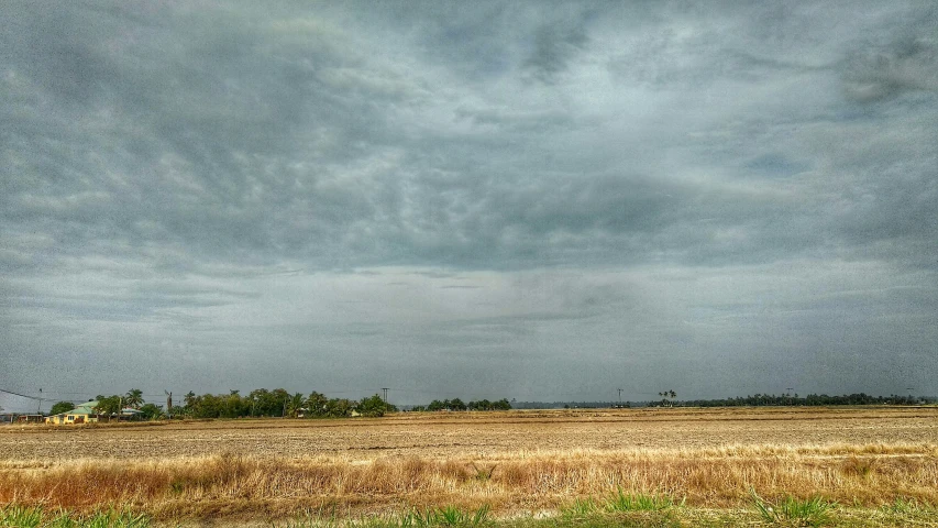 a field with a stop sign in the foreground under a cloudy sky