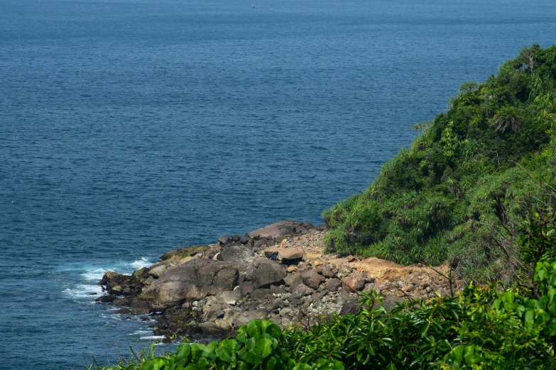 the ocean and green trees on a rocky shoreline