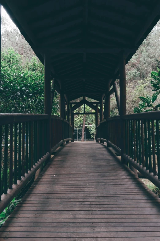 the walkway over the bridge leads to the top