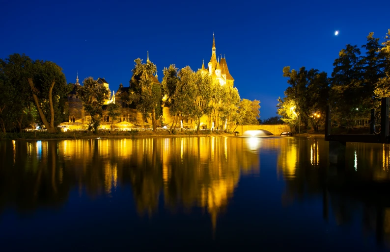 the trees are lined up along the shore at night