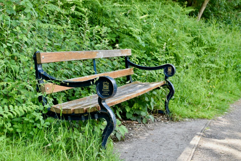 a bench on side a road between some trees and bushes