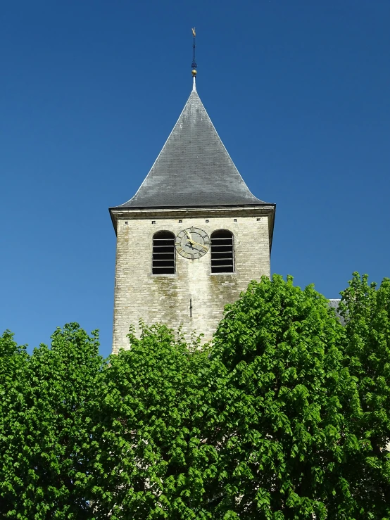 an old tower rises out from the trees in front of it