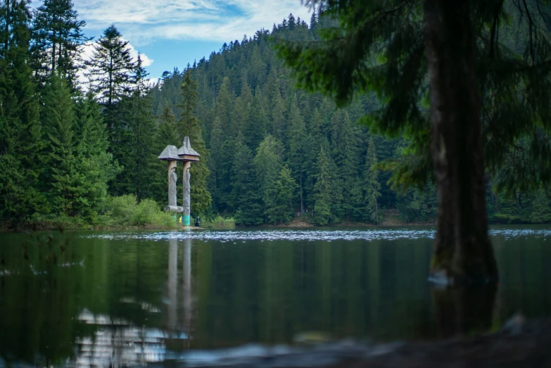 this is a view of a lake and tree covered area