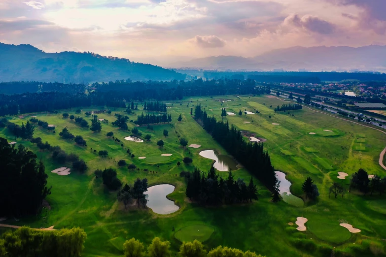 a view of a green golf course from an airplane