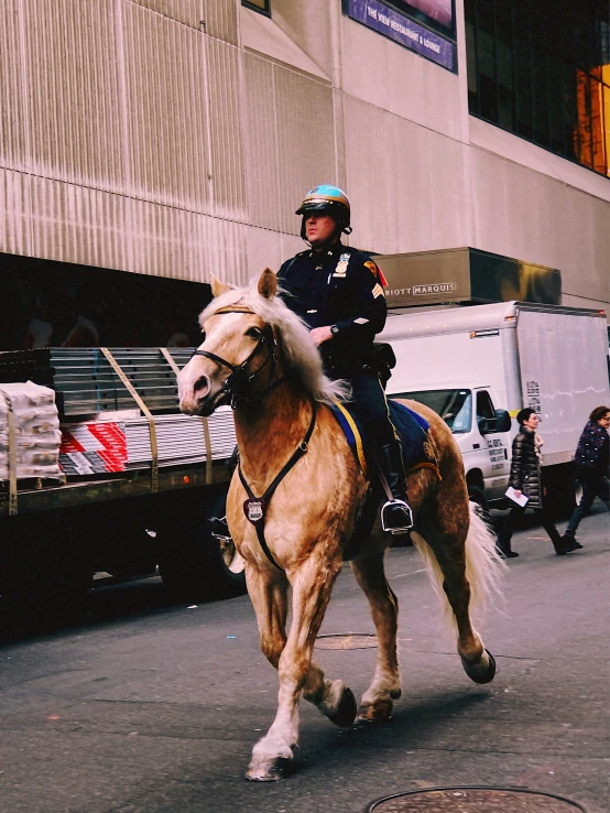 a mounted police officer riding on top of a brown horse