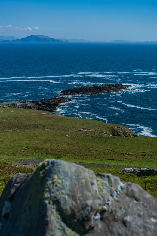 a very big grassy field with some animals in the distance