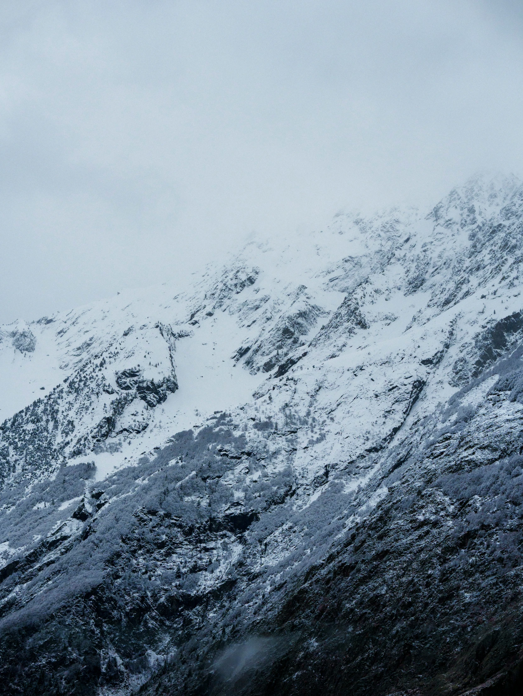 a snow covered mountain with some trees in the background