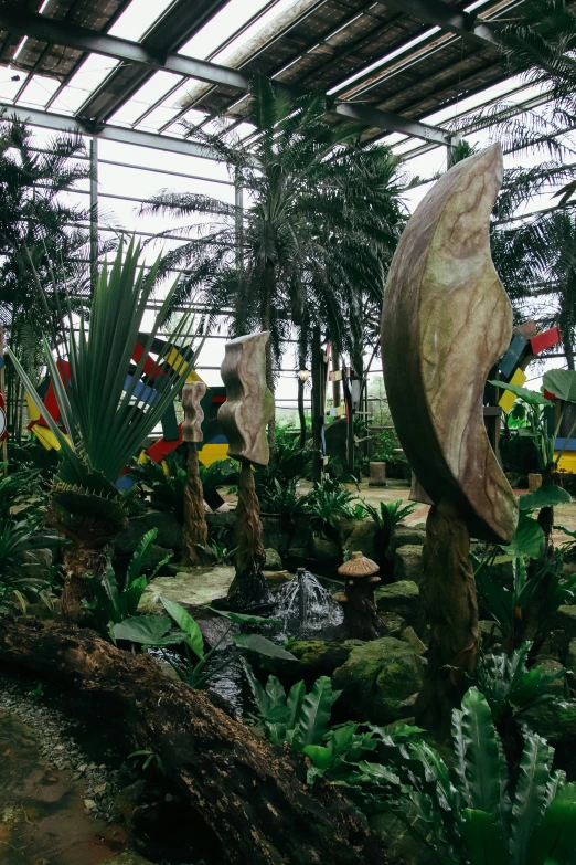 many palm trees and water plants in a green house