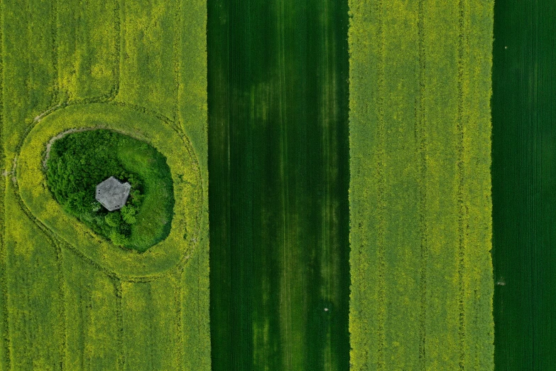 aerial view of two fields, one where the field is bordered by green grass