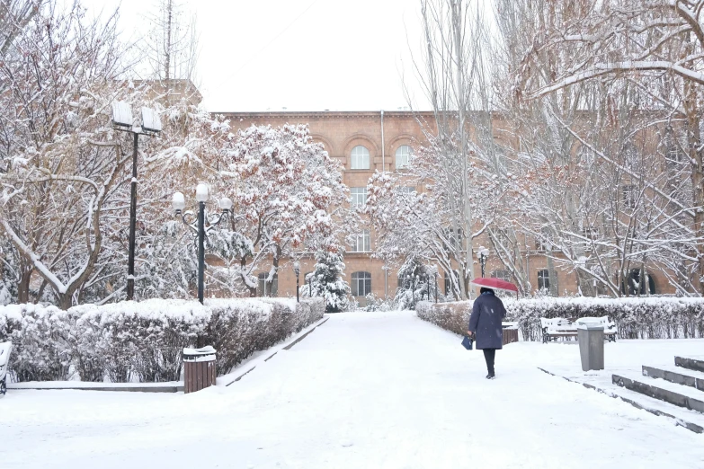 a woman with an umbrella walking across the snow