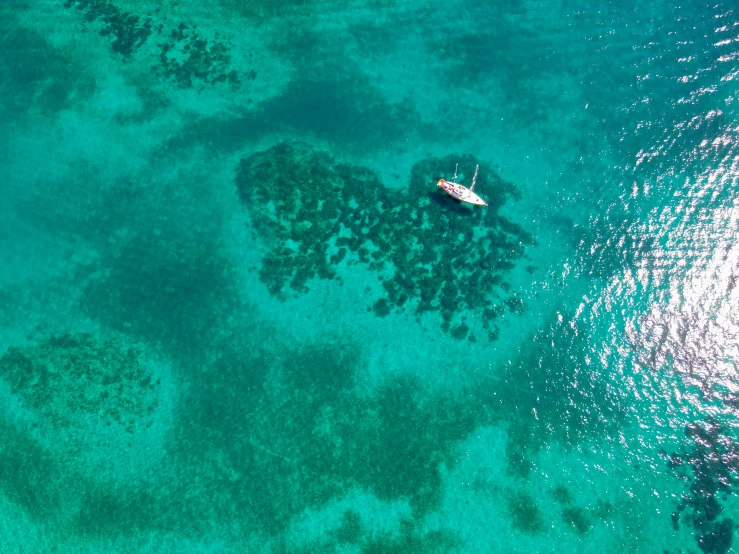 a boat on clear water in the ocean