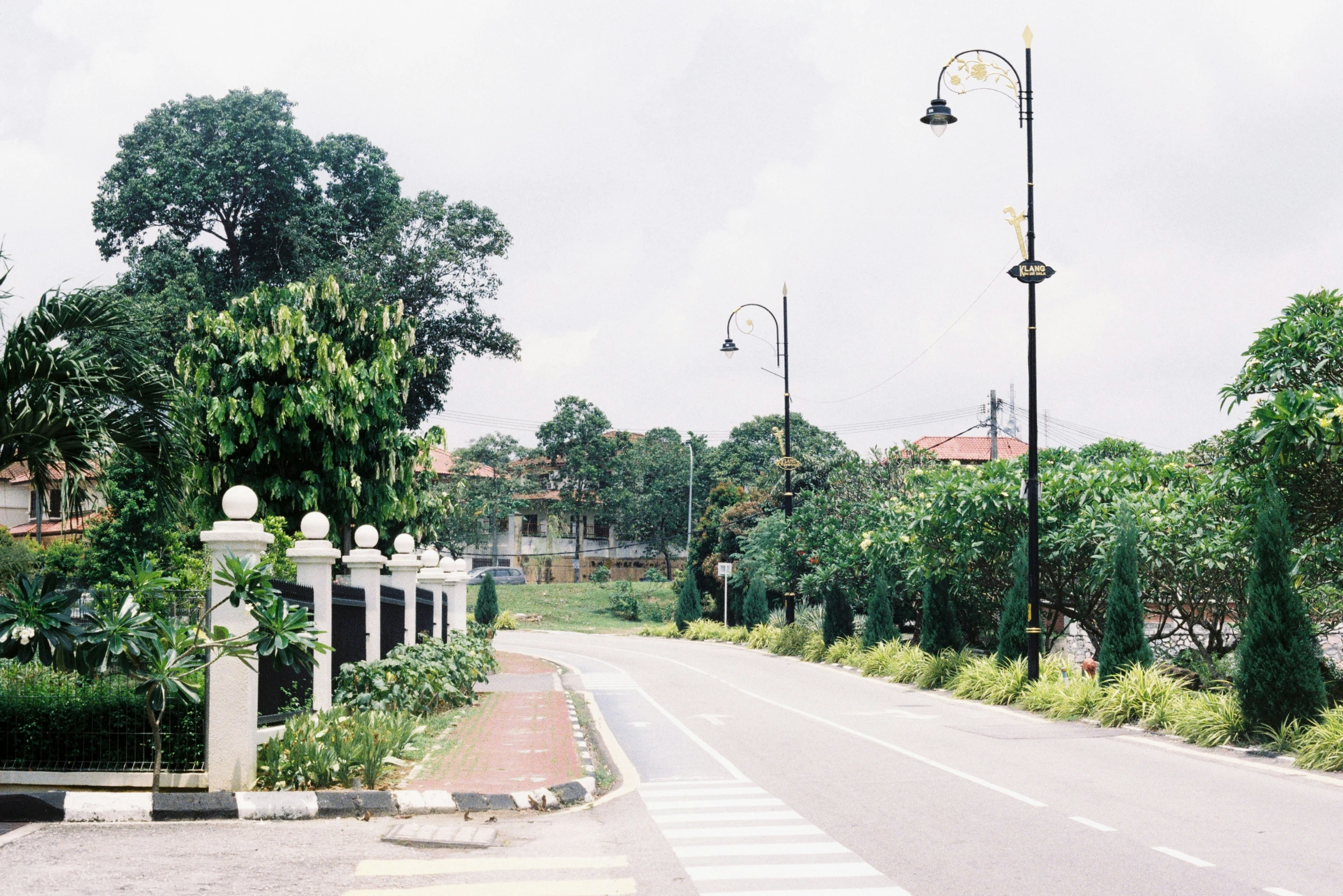 a view of an empty street, with some trees in the background