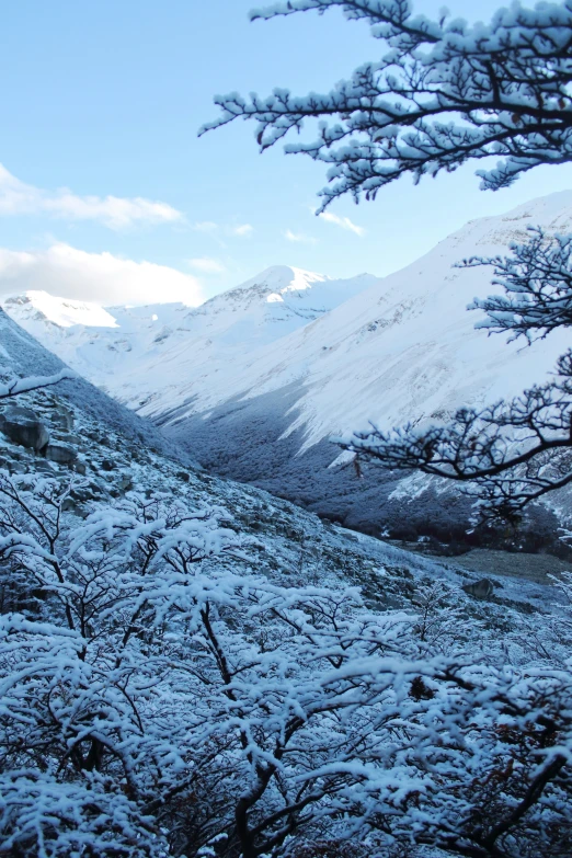 there are mountains covered in snow on the hill