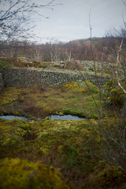 a grassy field with a rock wall next to it