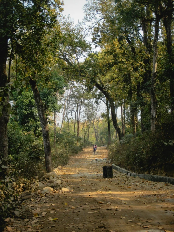 person walking in middle of forest, with a man walking next to him