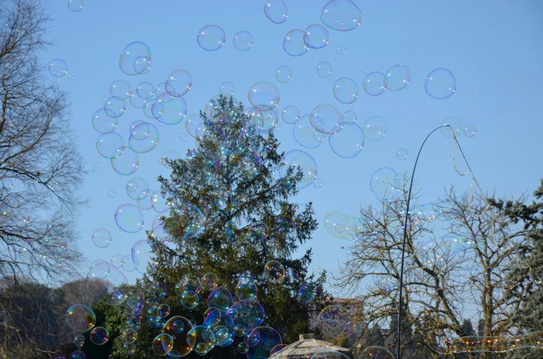 several bubbles are flying in the air over trees