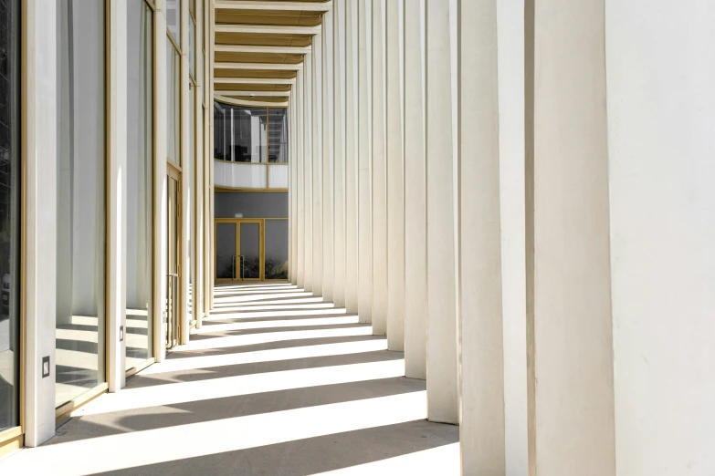 a row of windows and columns lining a wall