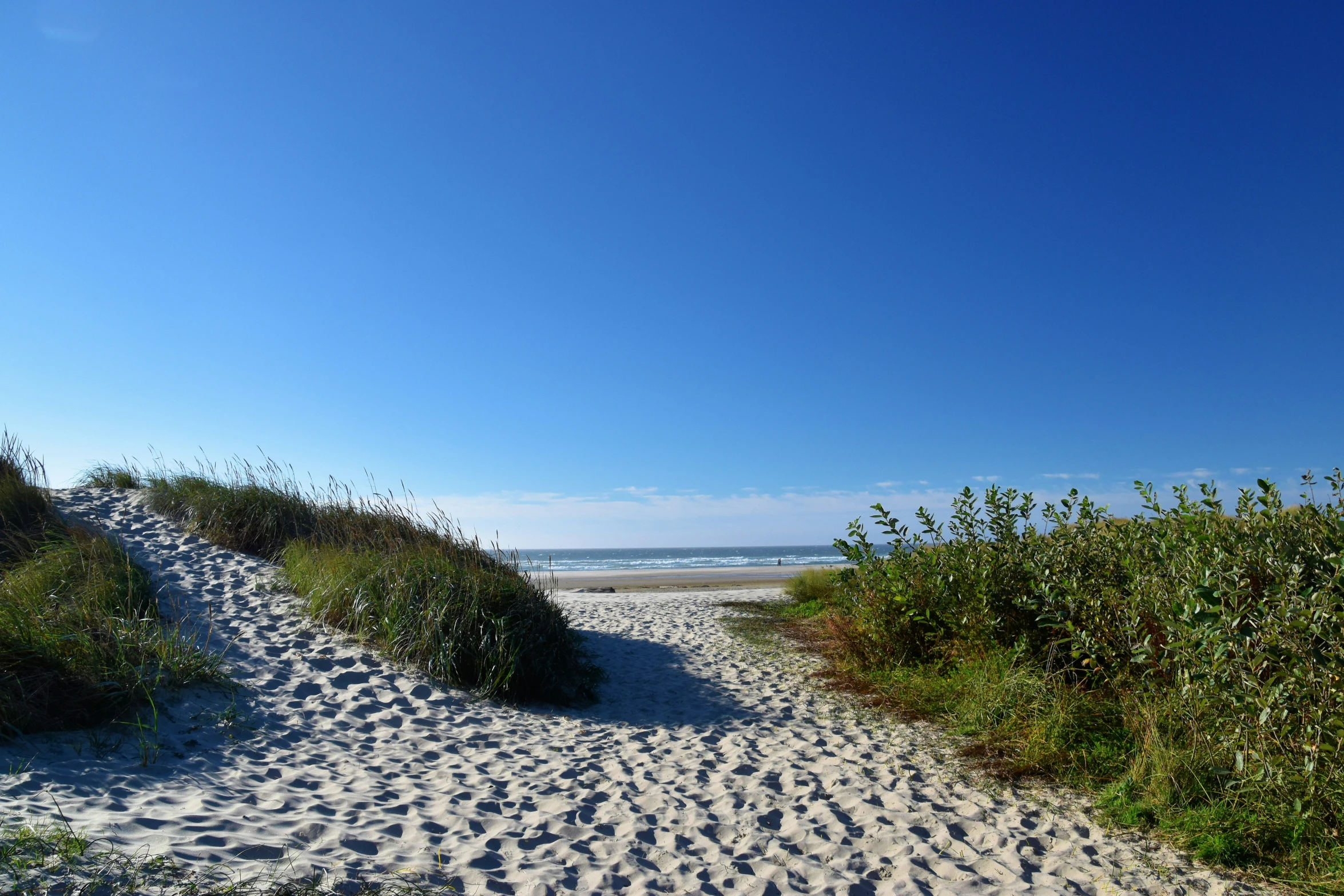 there are a small path that goes into the ocean