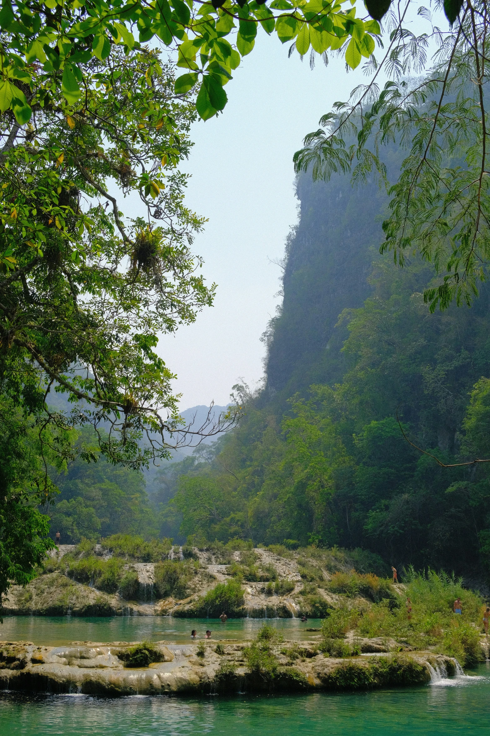 a stream in a mountainous area surrounded by lush green trees
