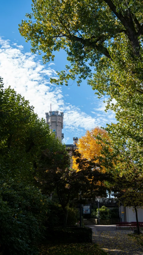 the clock tower is in the distance behind trees