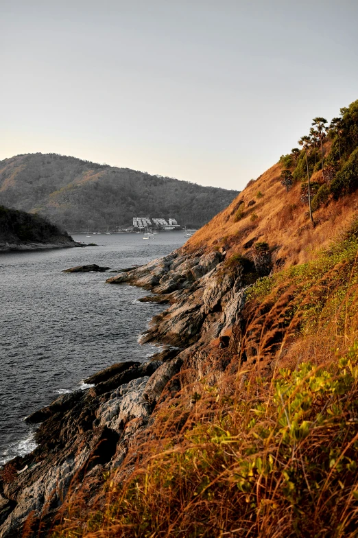 a view down on a scenic coastal area with hills and trees