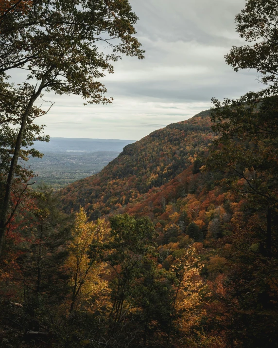 a view from a high viewpoint on the slopes of the mountain