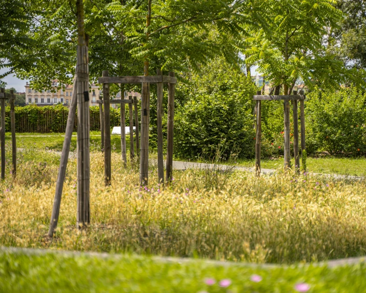 various wooden frames sitting in the middle of a park