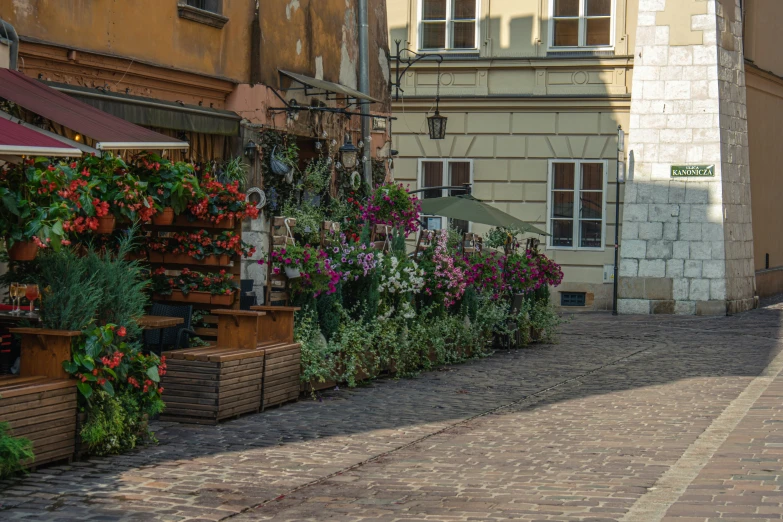 a row of potted plants on top of some bricks