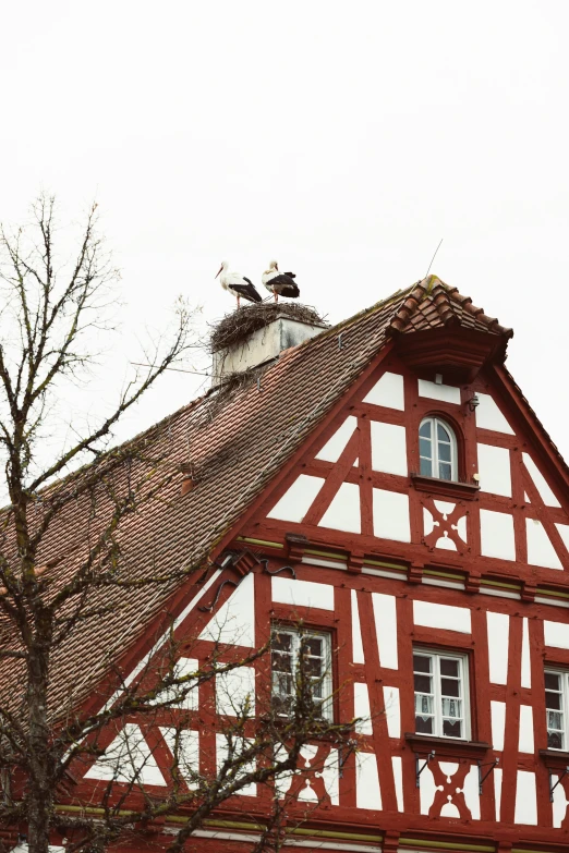 a house has two birds sitting on the roof