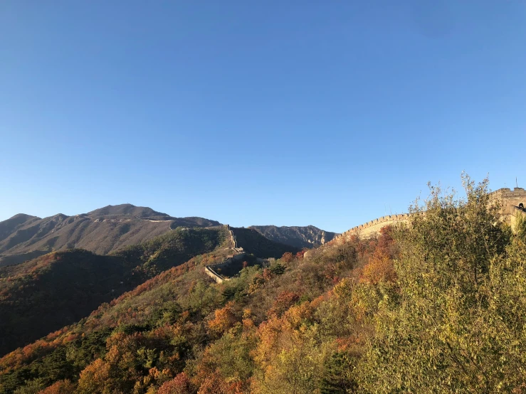 a path with trees on it going through the hills