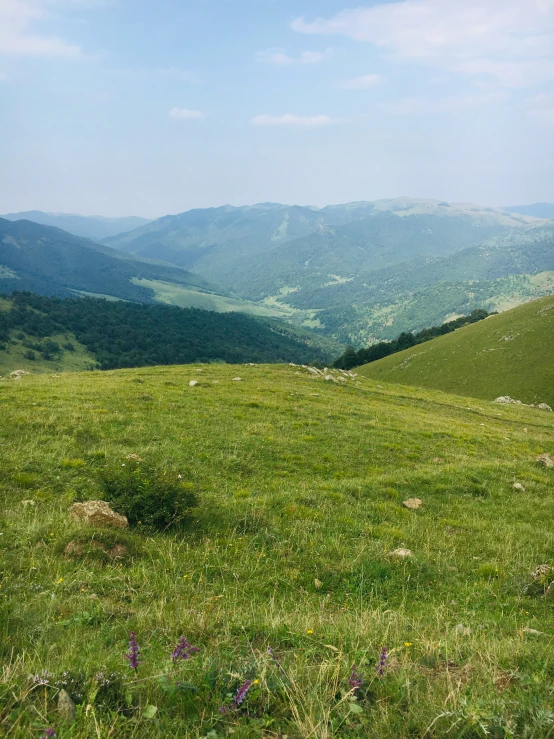 a grassy field with mountains in the distance