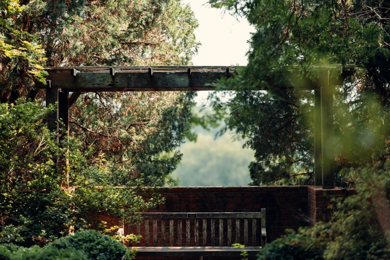 a wooden park bench surrounded by trees