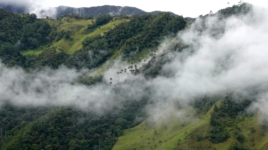 clouds covering the mountain in this valley