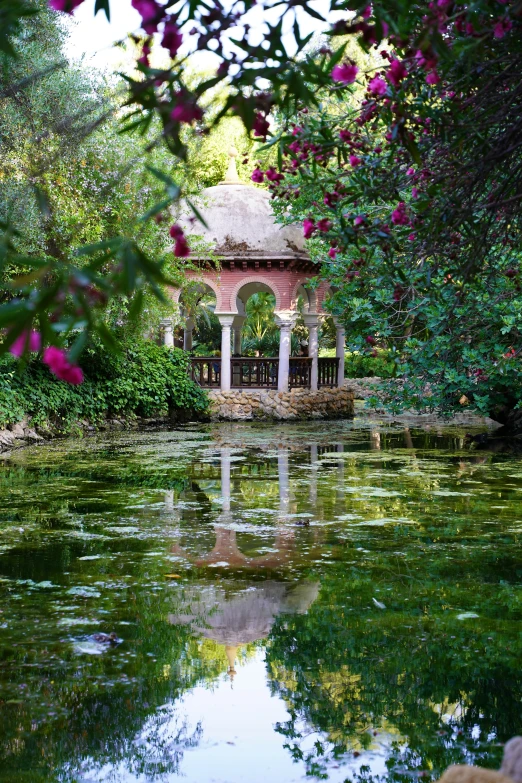 a pond that is surrounded by trees