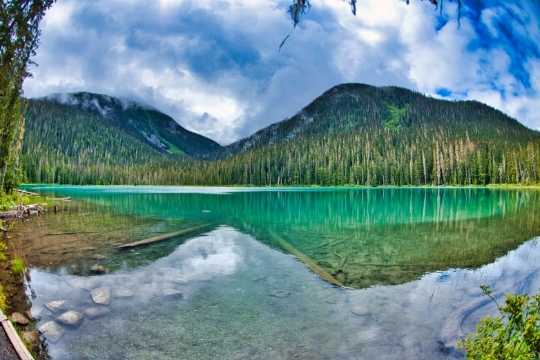 a body of water surrounded by forest under a cloudy sky