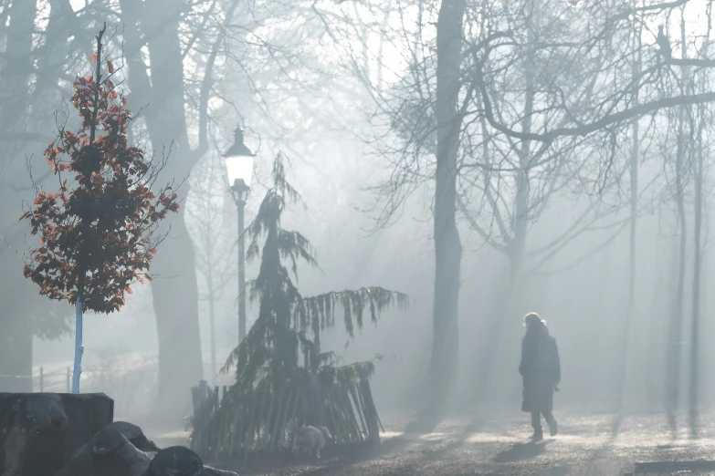 a person is walking through the foggy park