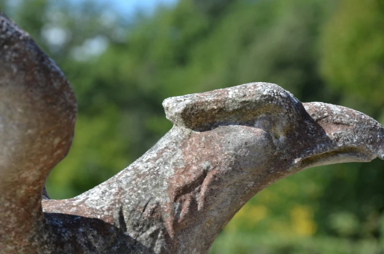 the back of an elephant statue with trees in the background