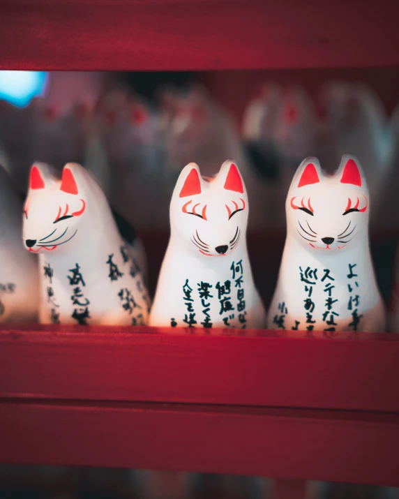 three white cats on display in a display case