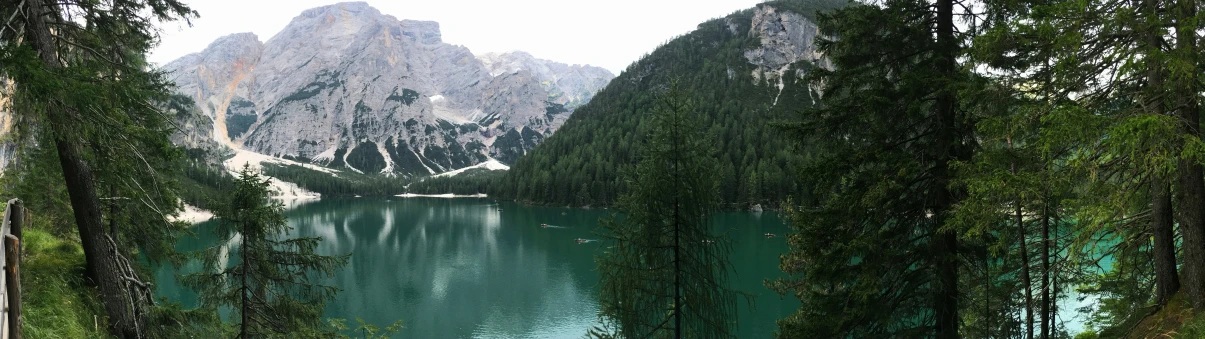 a mountain side with many trees growing near the water