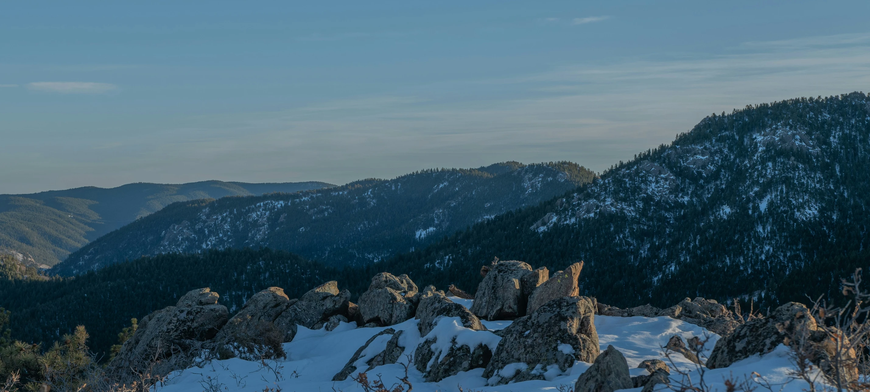 there is a large snowy mountain near some trees