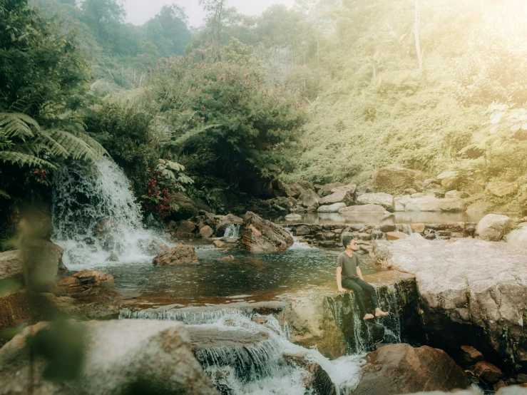 a waterfall flowing through a lush forest filled with trees