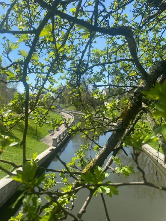 a lake and a bridge and trees against the sky