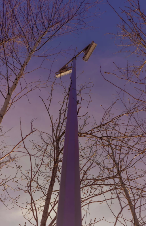 a view of two streetlights between trees with no leaves