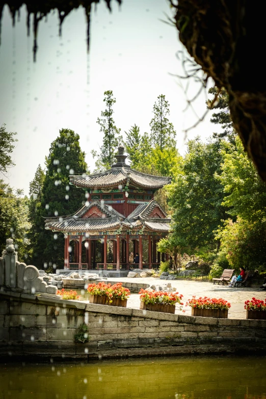 a view of a chinese pagoda in a park on a rainy day