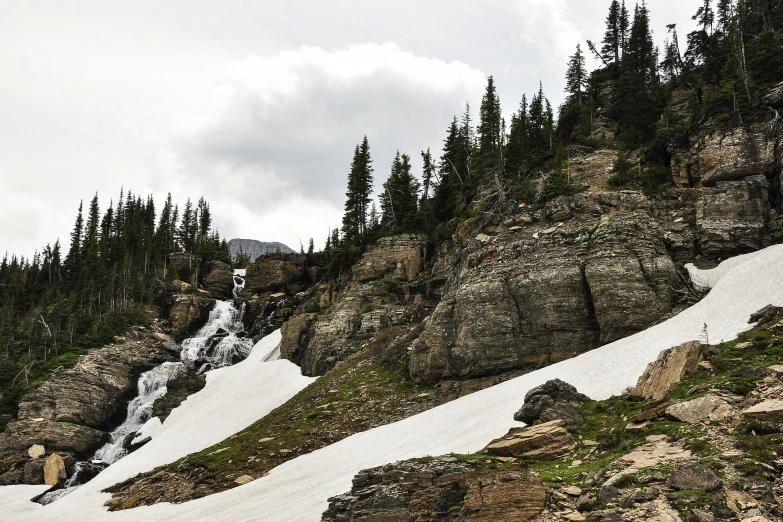 snow and trees growing from the side of a steep mountain