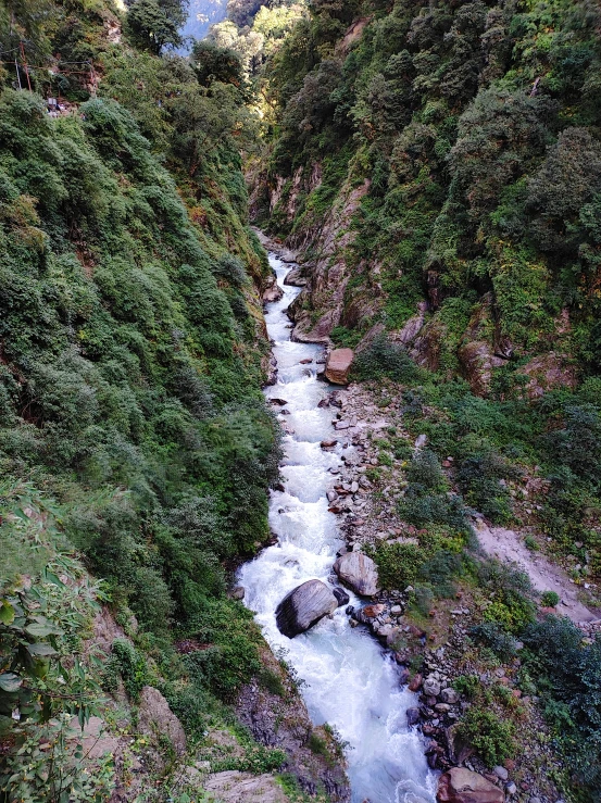 a stream flowing down into a forest filled hillside