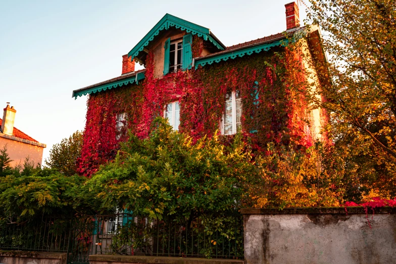 an old house covered in ivy is displayed